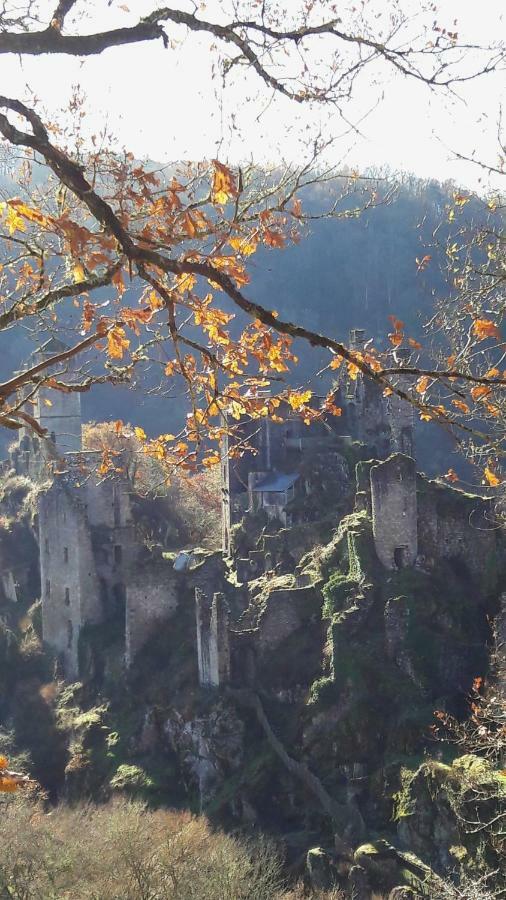 Auberge Des Ruines De Merle Saint-Cirgues-la-Loutre エクステリア 写真